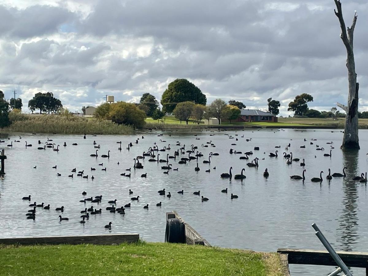 Tasman Holiday Parks - Lake Mulwala Exterior foto
